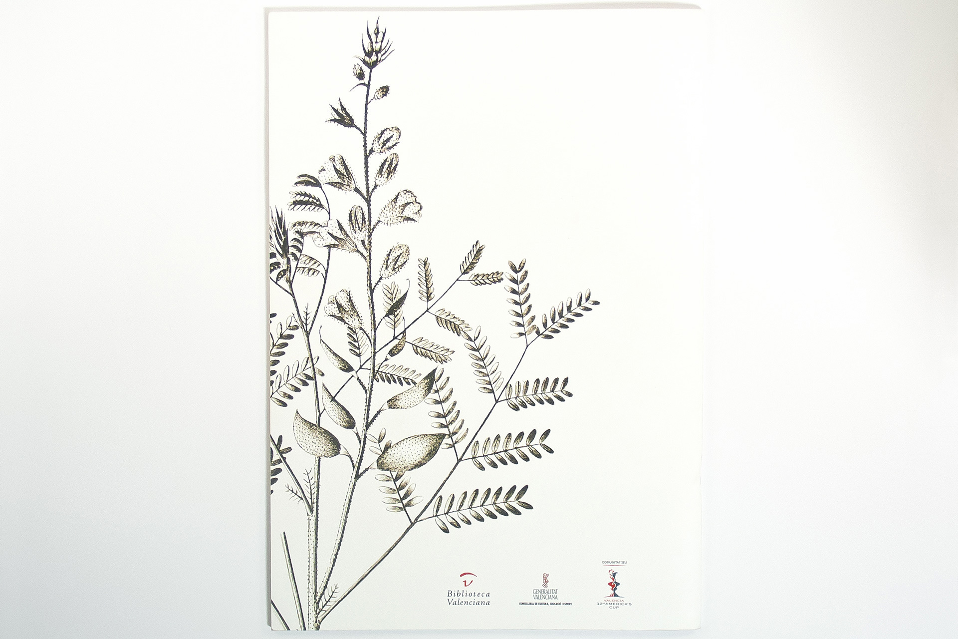 diseño editorial exposiciones