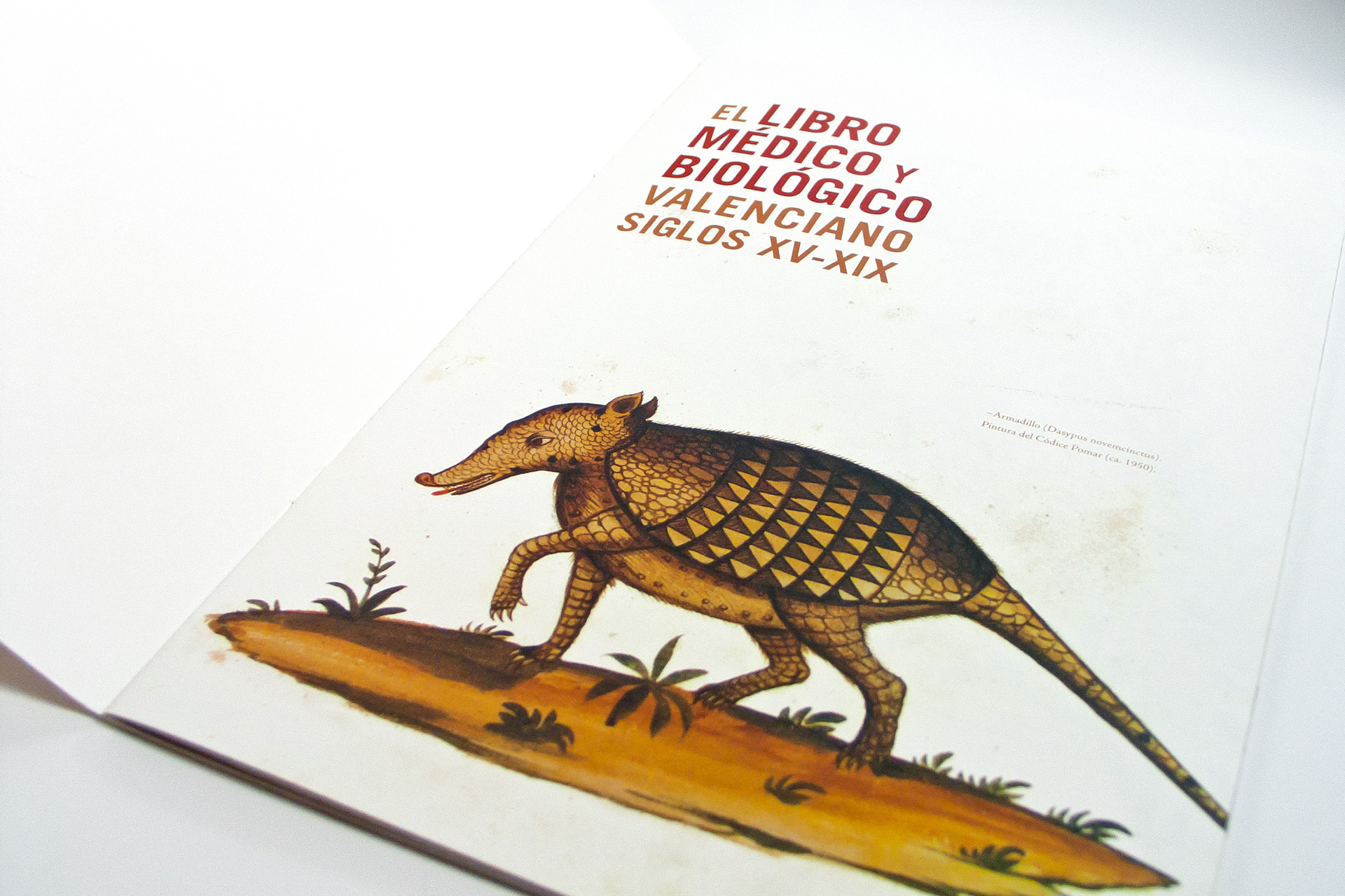 diseño editorial exposiciones