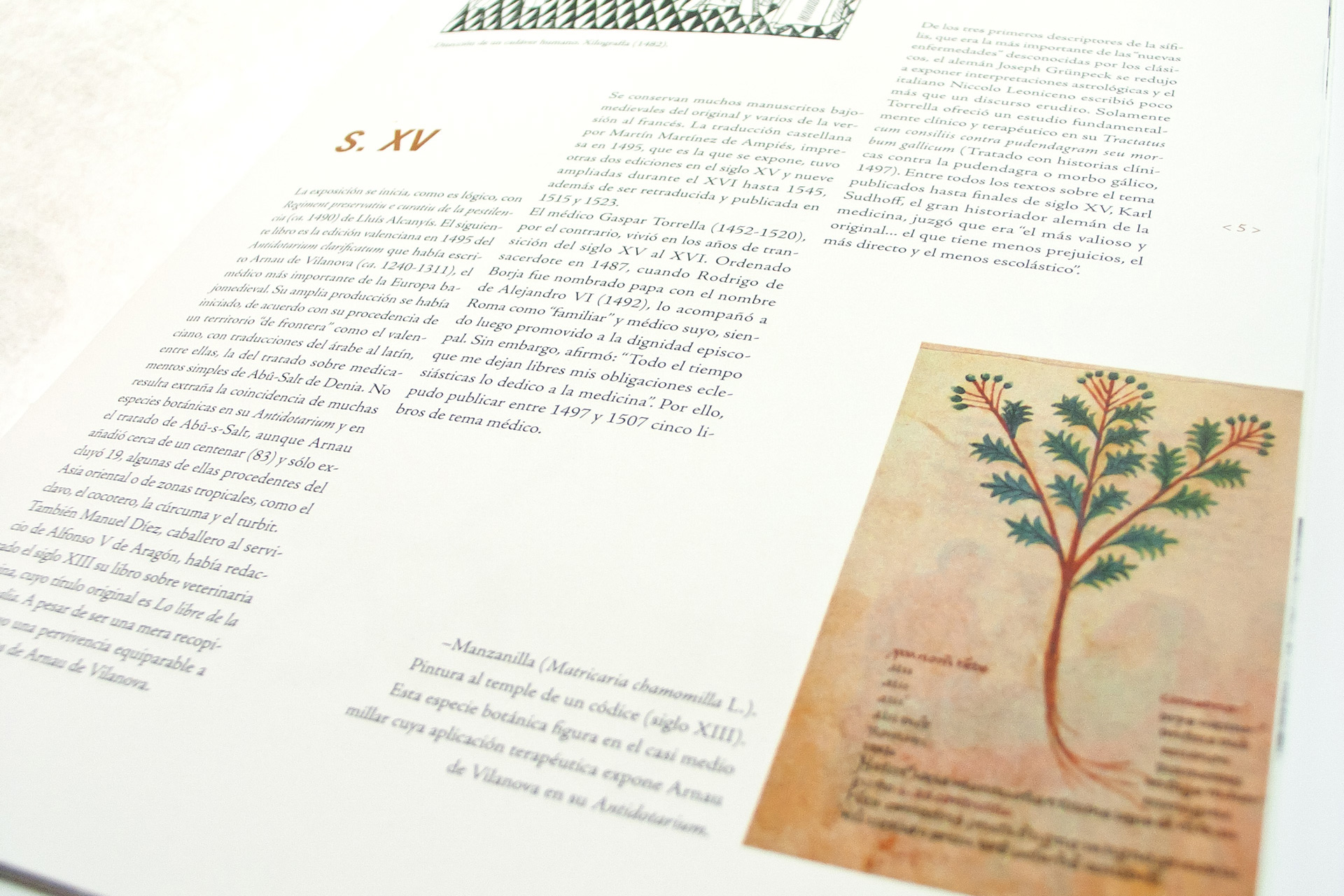 diseño editorial exposiciones