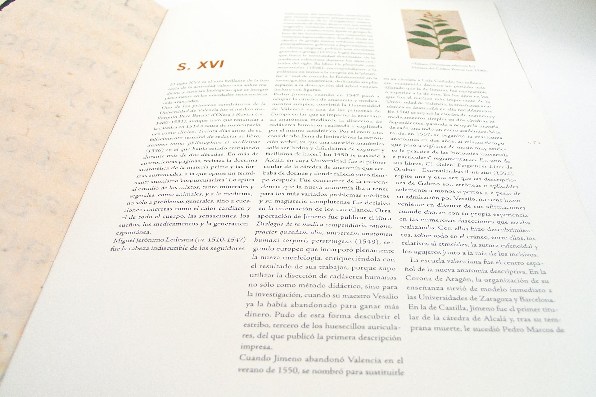 diseño editorial exposiciones