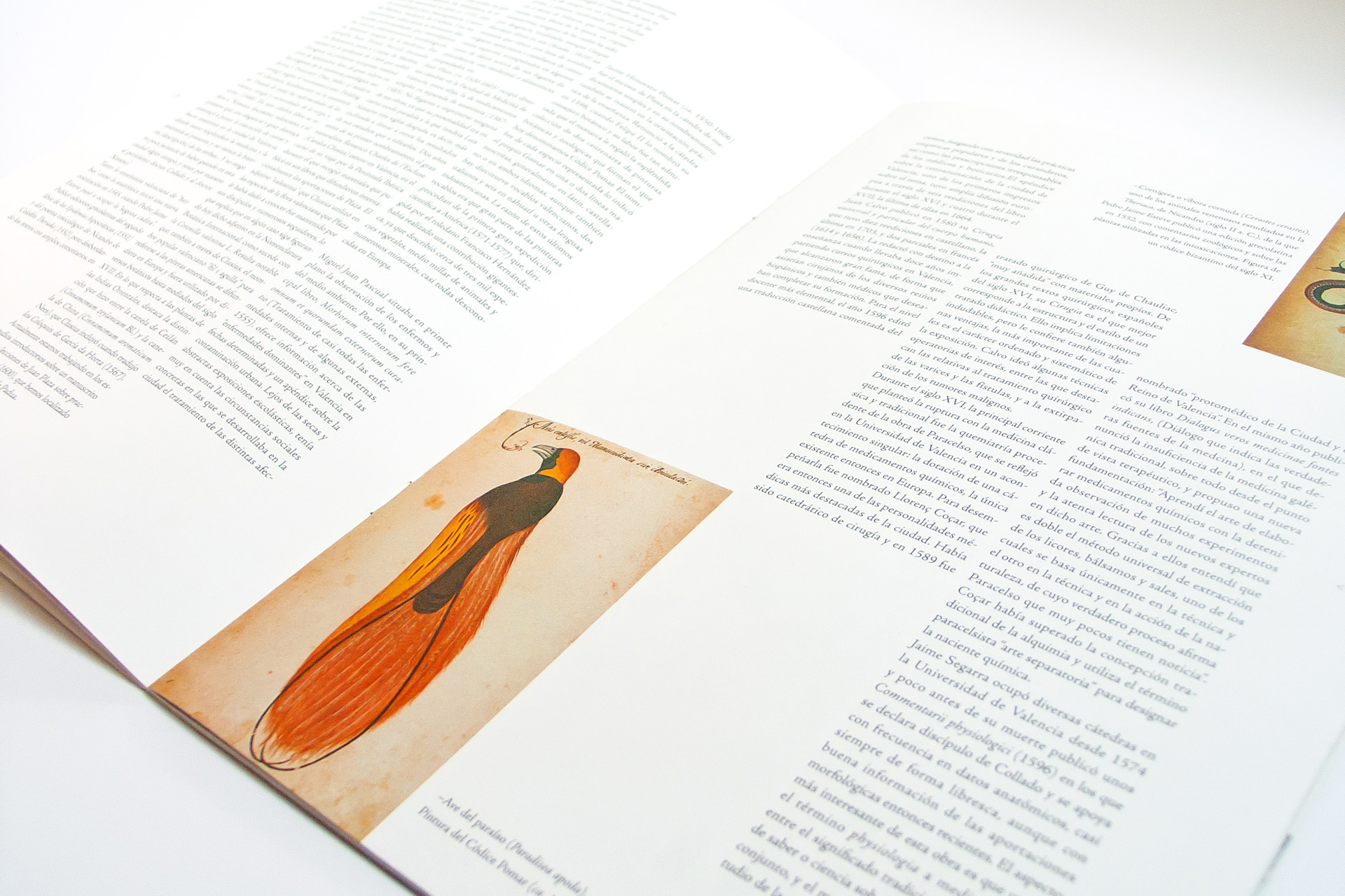 diseño editorial exposiciones