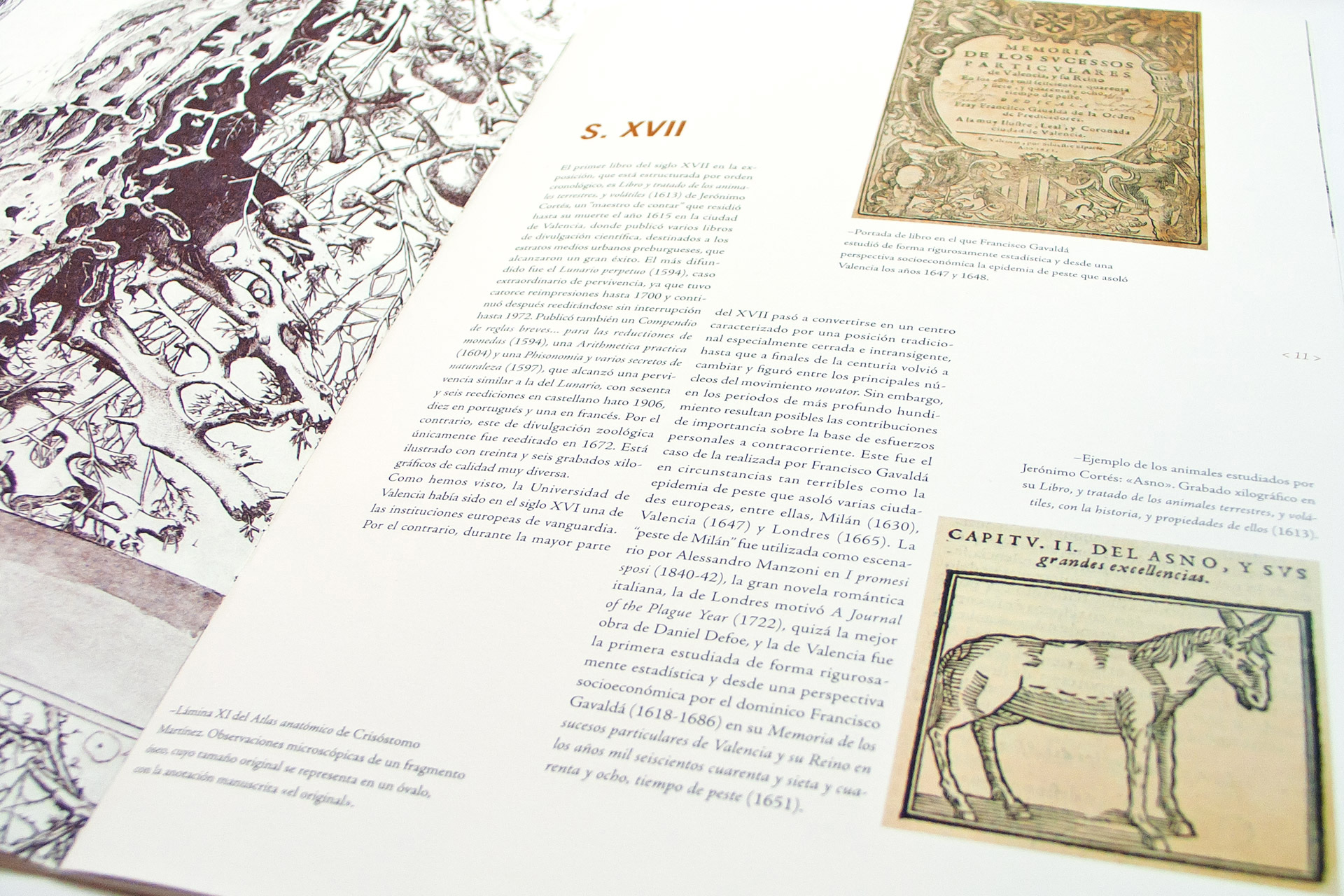 diseño editorial exposiciones