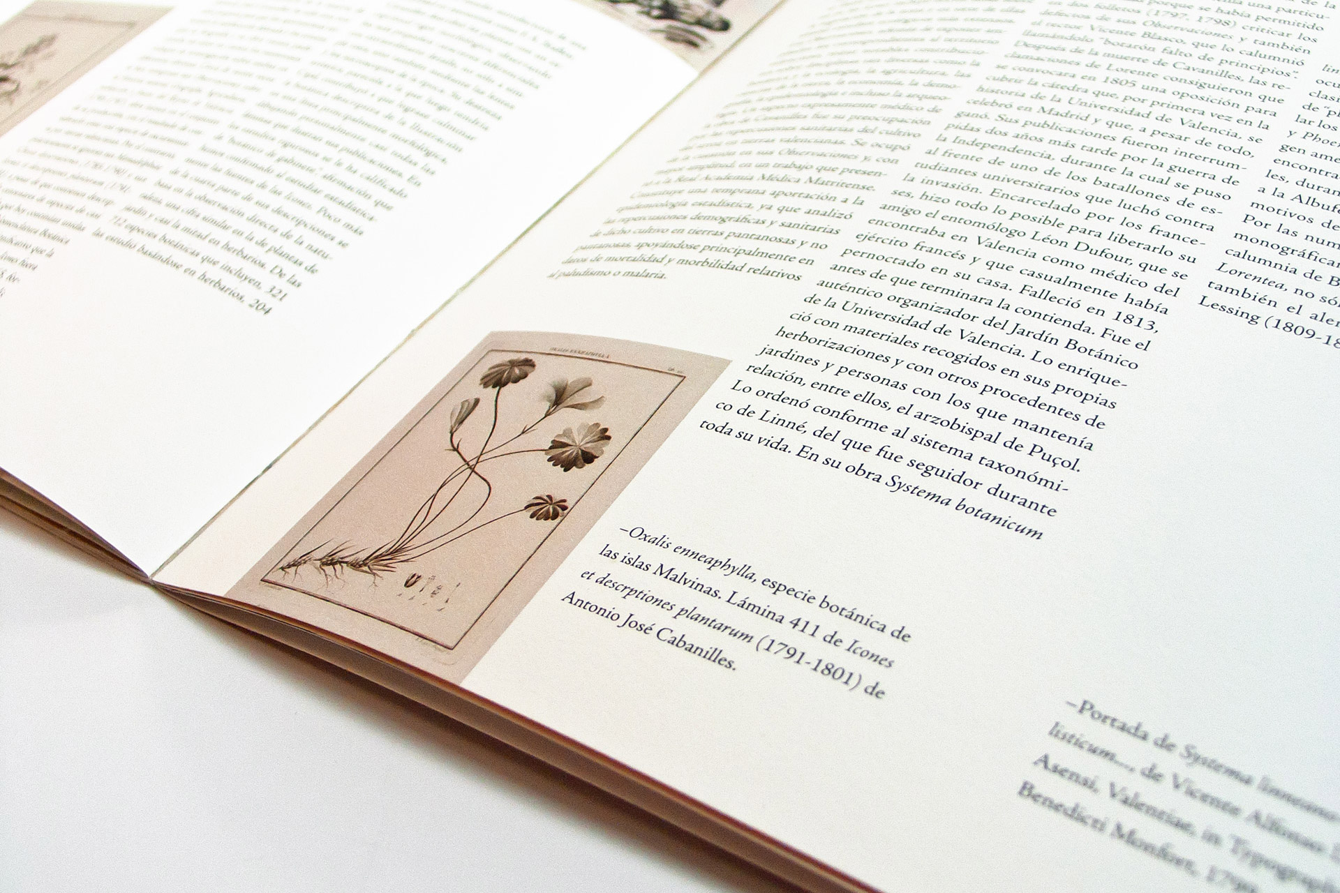 diseño editorial exposiciones