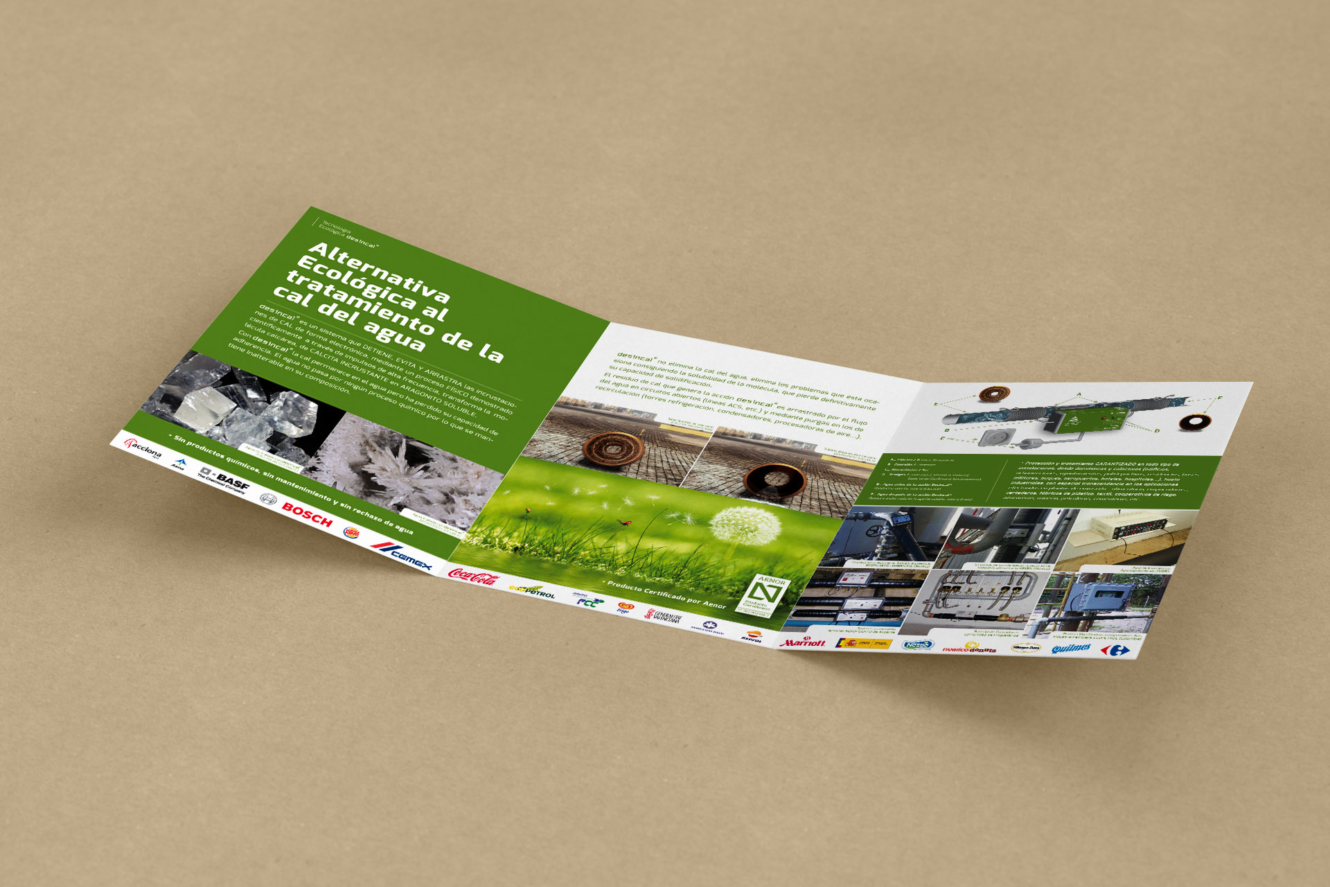 branding-integral