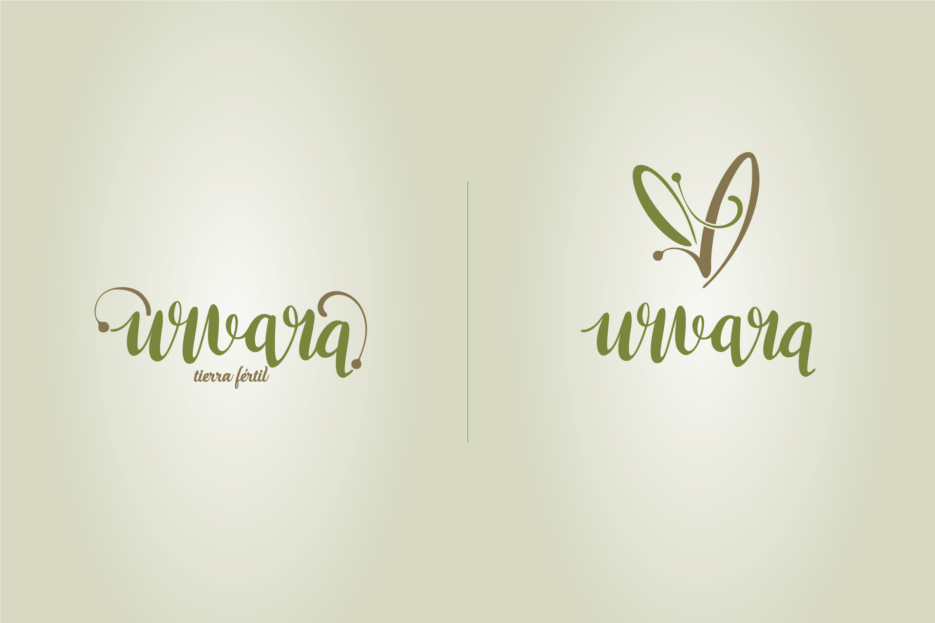 packaging-branding
